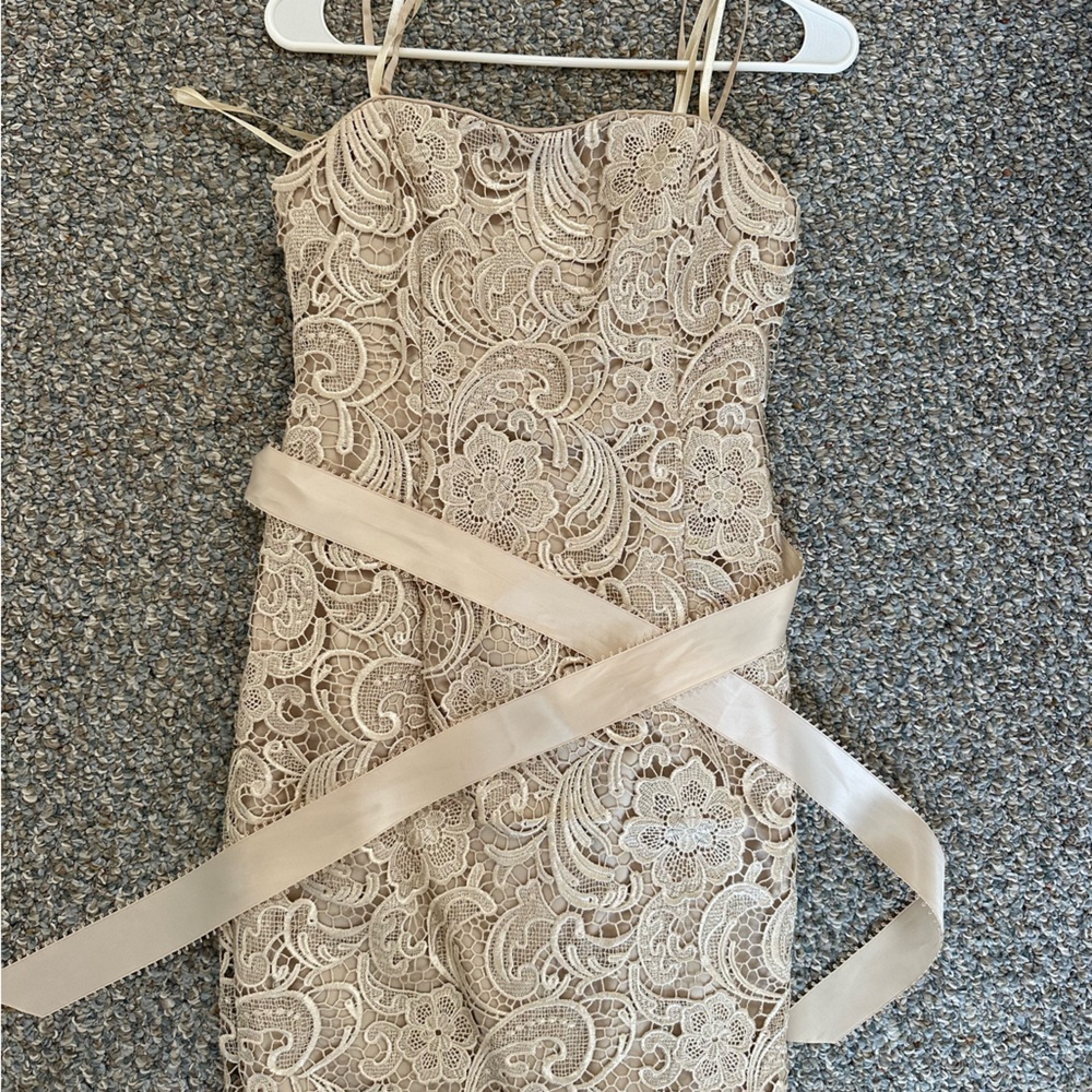 Adrianna Papell Lace Embroidered Dress
